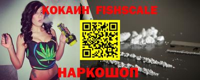 МДПВ Камышлов