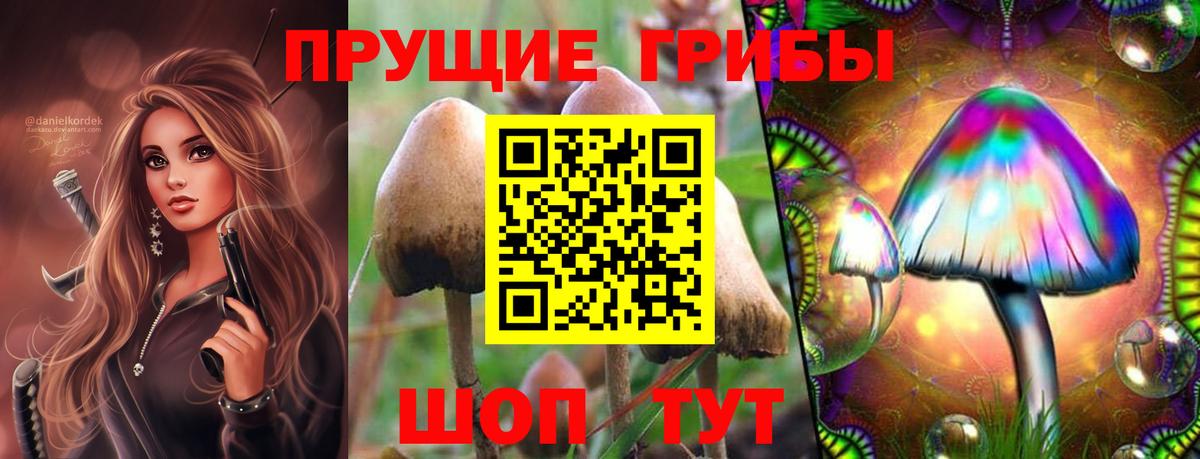 Краснознаменск  закладки  Вход с VPN  Галлюциногенные грибы MAGIC MUSHROOMS  Галлюциногенные грибы мицелий 