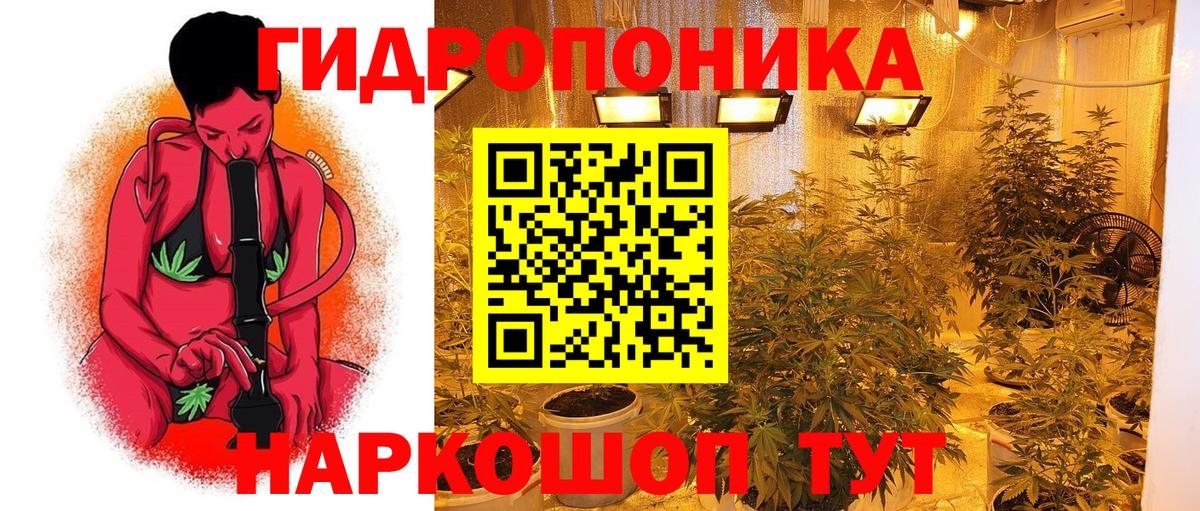 Бошки марихуана план Краснознаменск